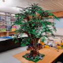 baum.jpg