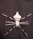 suspended_spider.jpg