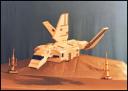 sentinal_class_04.jpg