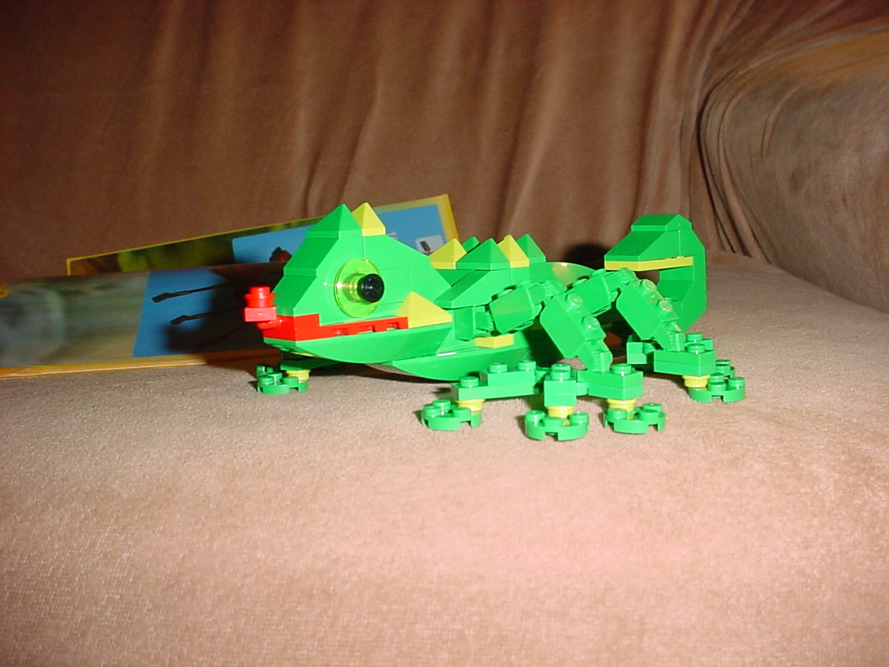 dsc06990.jpg