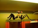 dsc00419.jpg