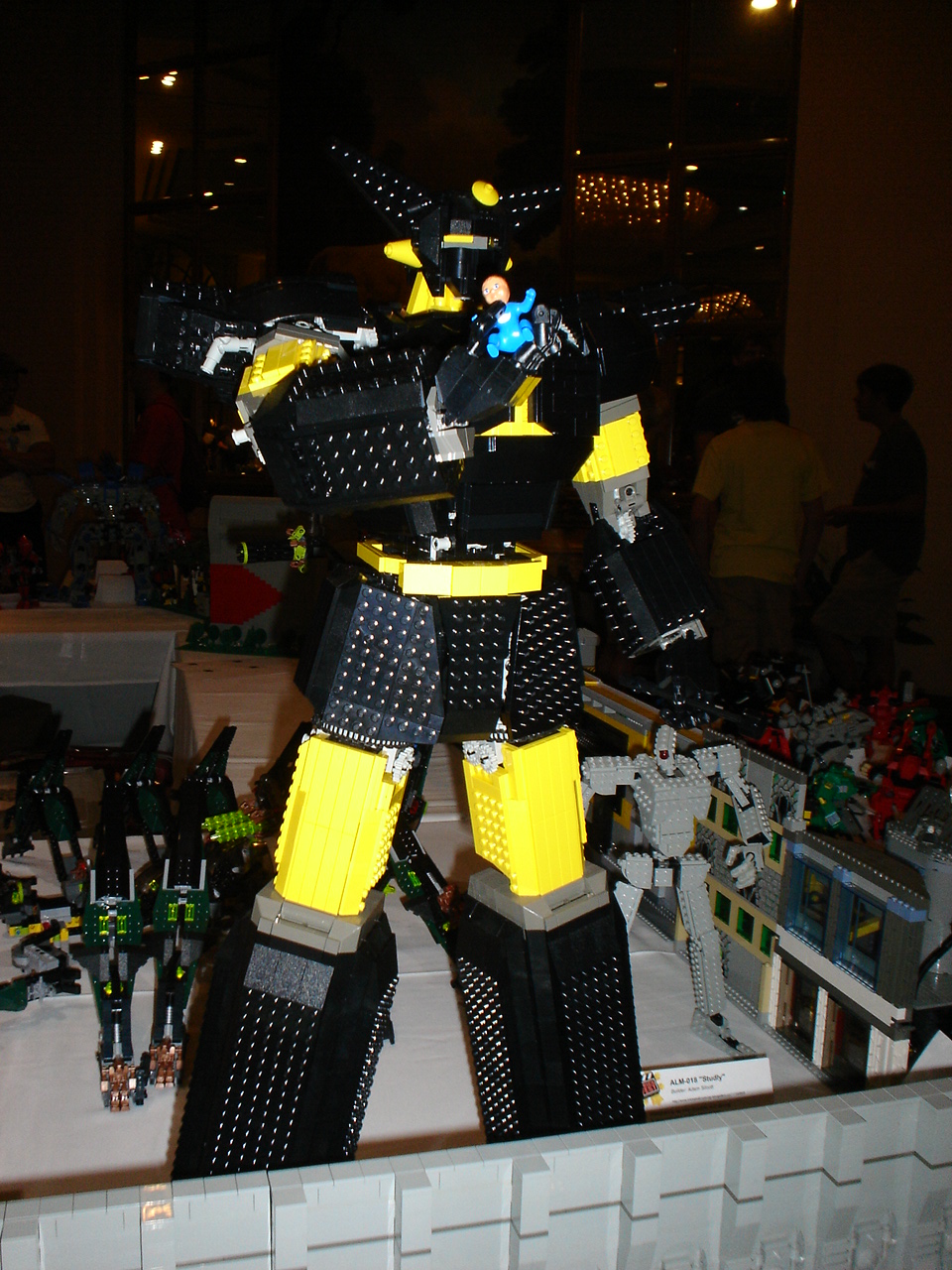 dsc00017.jpg