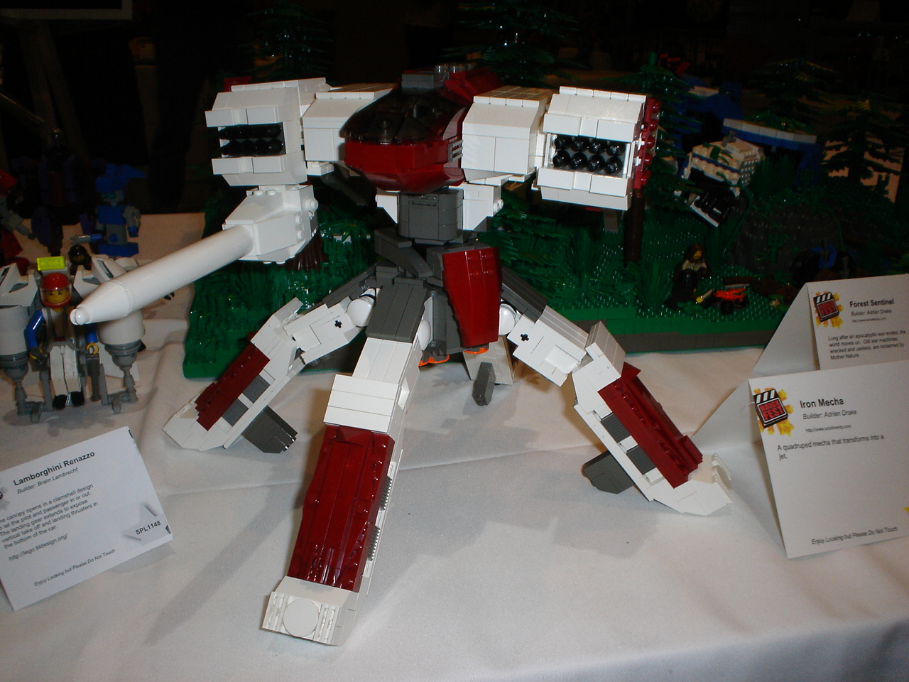 dsc00019.jpg