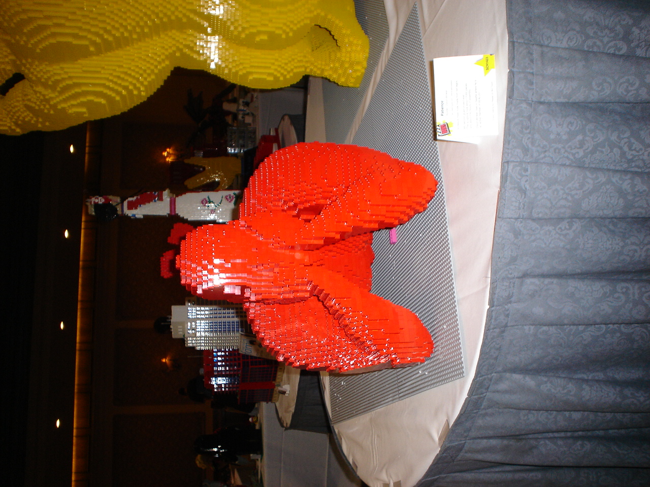 dsc00021.jpg