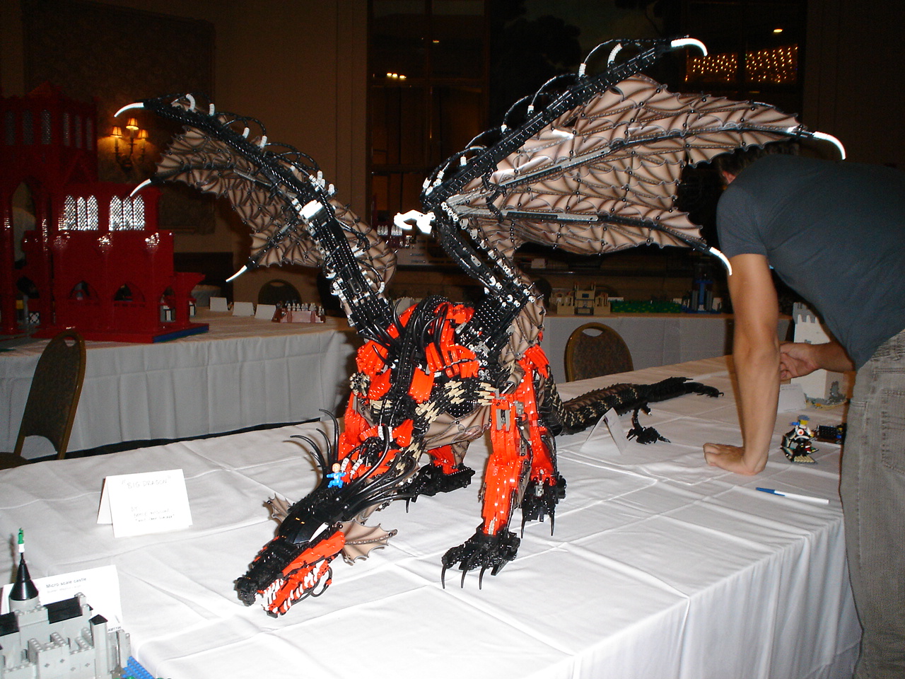 dsc00046.jpg