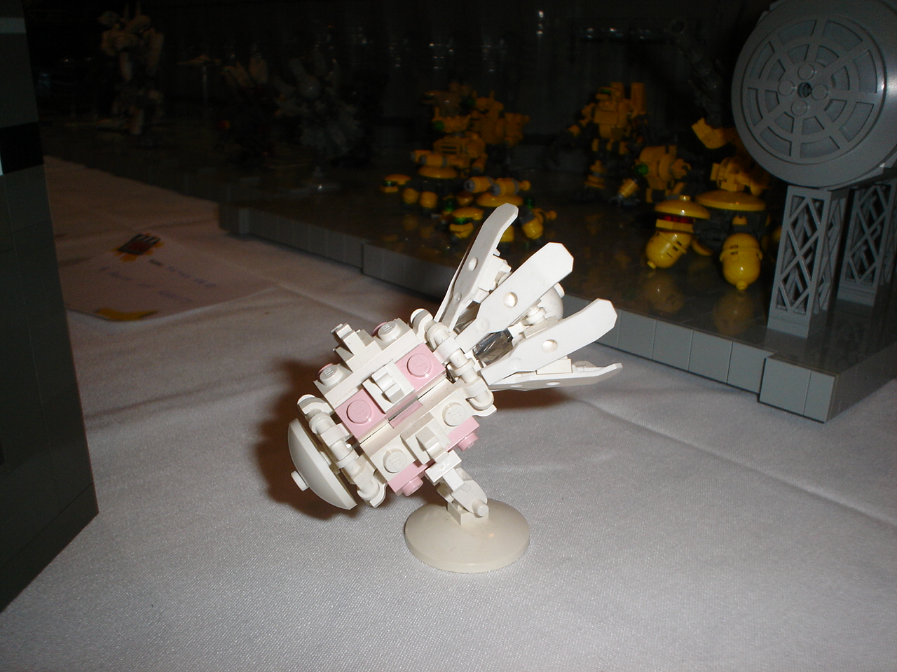 dsc00088.jpg