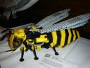 dsc00014.jpg