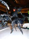 dsc00033.jpg