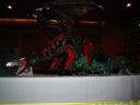 dsc00081.jpg