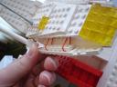 dsc00144.jpg