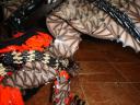 dsc00156.jpg