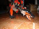 dsc00157.jpg
