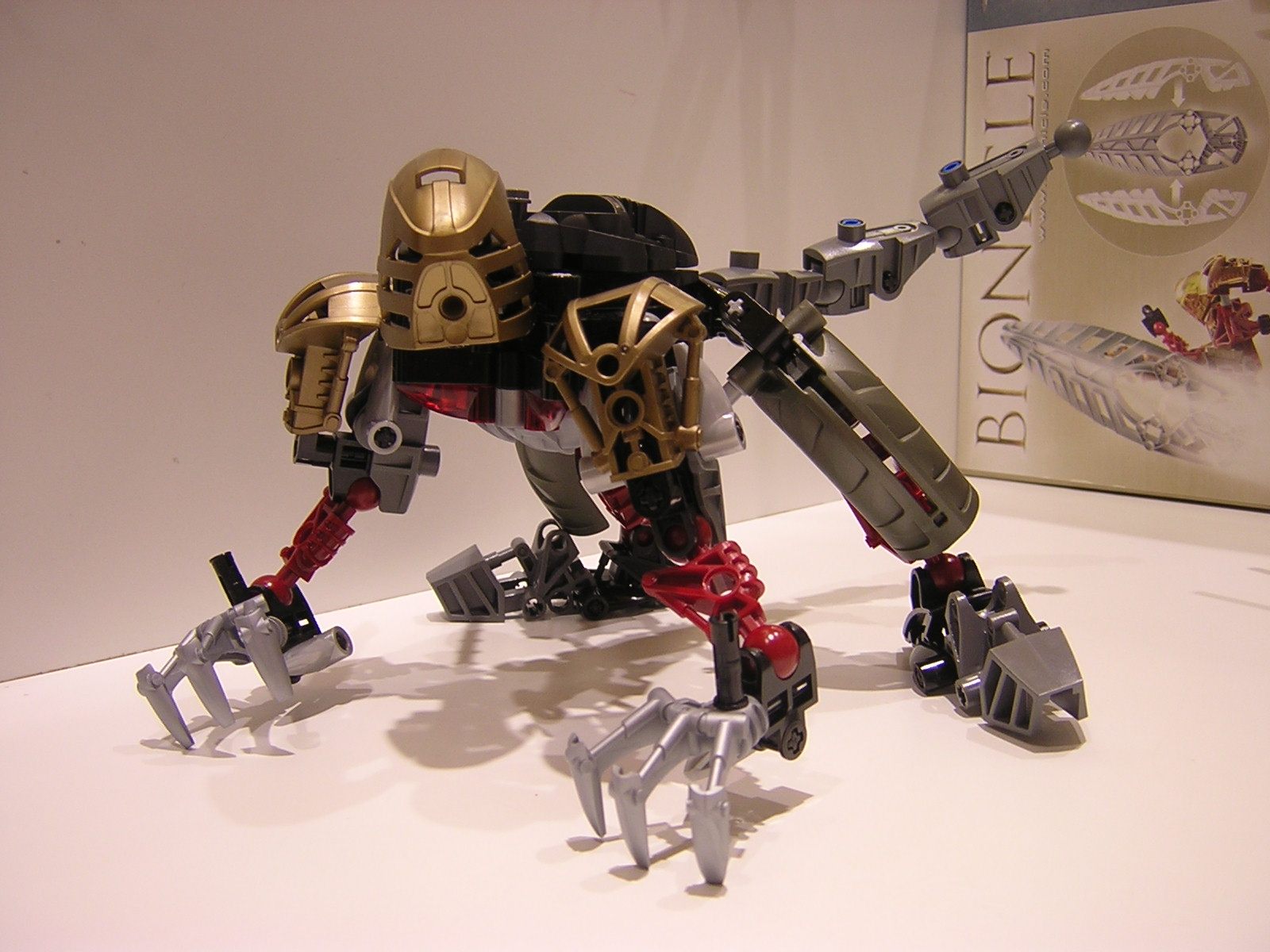 dscn1211.jpg