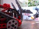 dsc07843.jpg