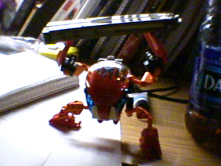 dsc00117.jpg