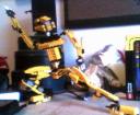 yellowbot012.jpg