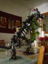 dsc04817.jpg