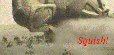 squish2.gif