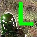 liz11.jpg