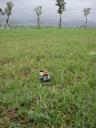 dsc001730.jpg