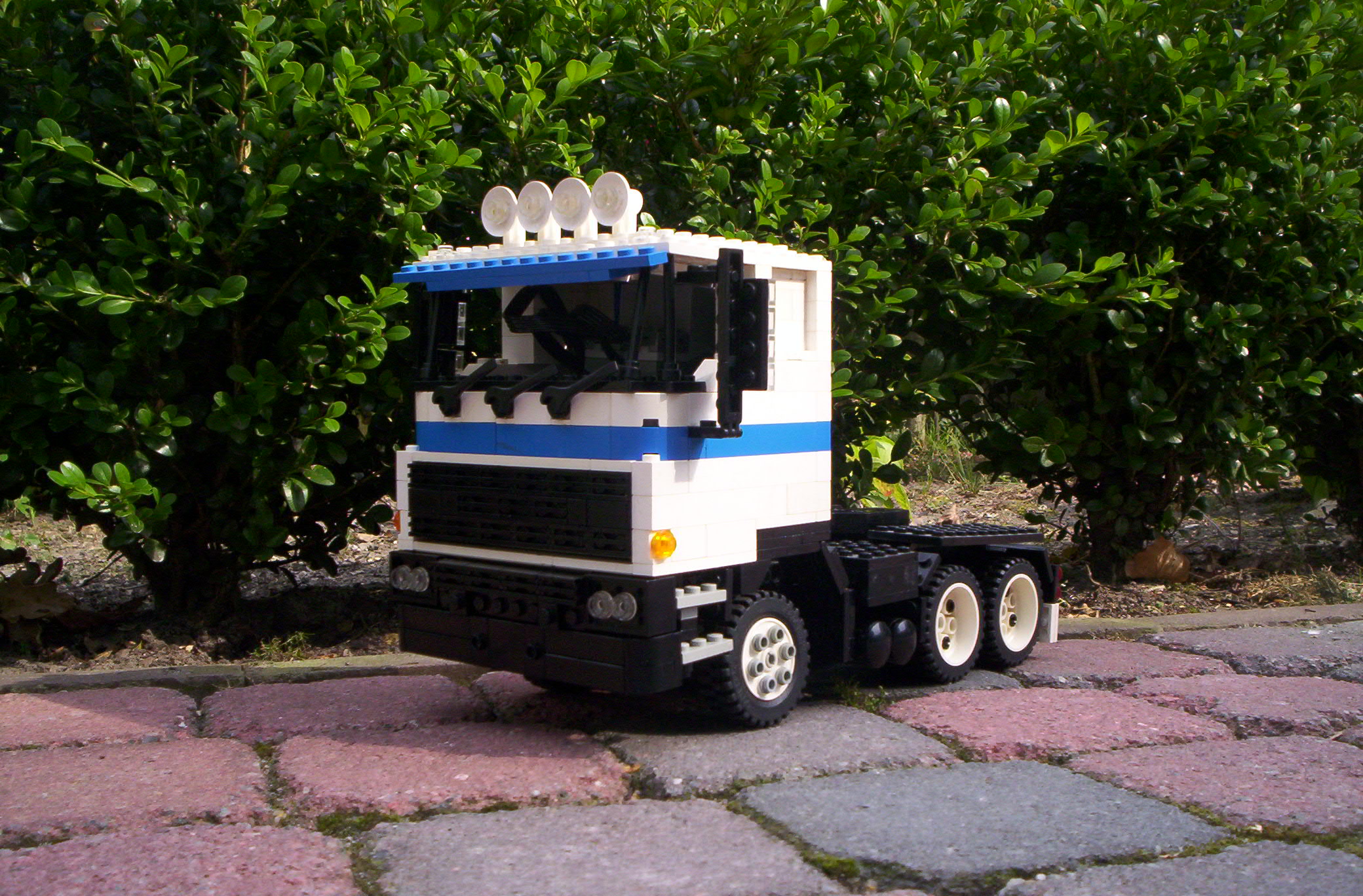 100_7004.jpg