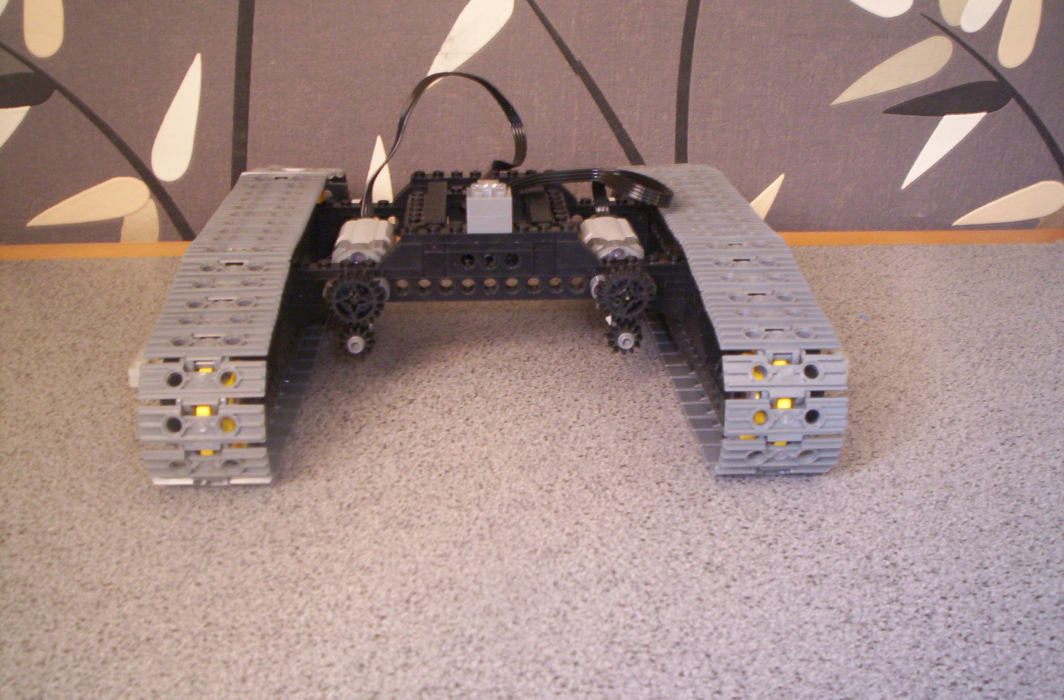 145.jpg