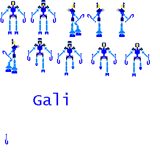 gali_kit.bmp