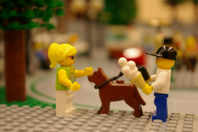 david1.jpg