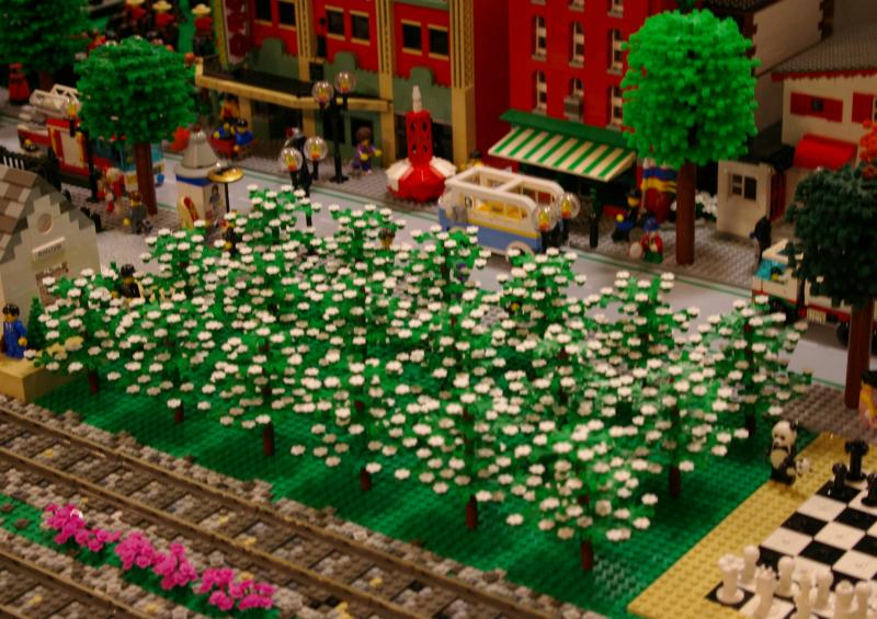 orchard2.jpg