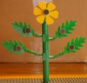 solarflower.jpg