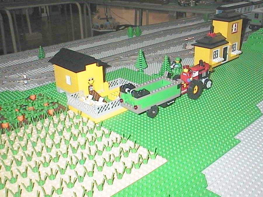 farm1.jpg