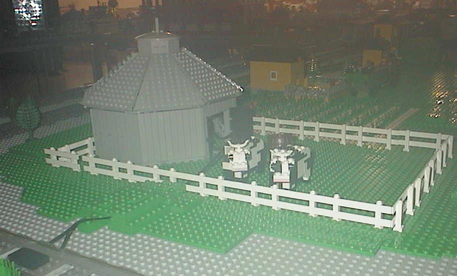 farmcows.jpg