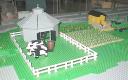 farm2.jpg