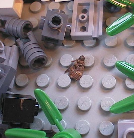 bug_bot2.jpg
