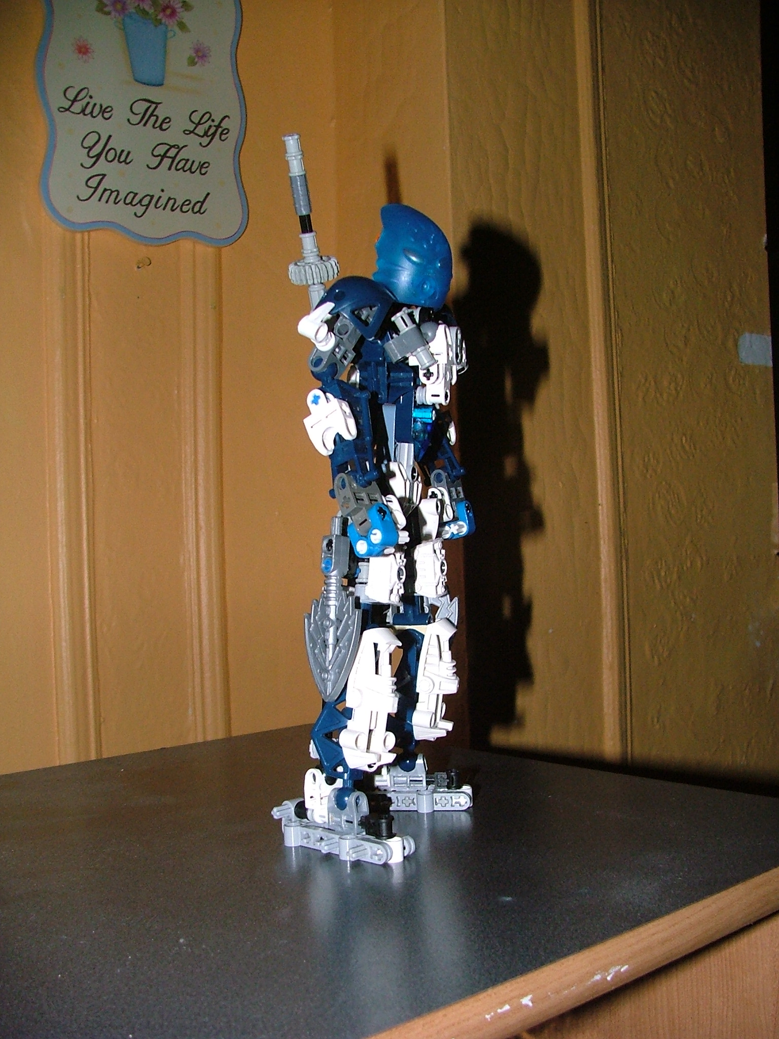 dscf5401.jpg