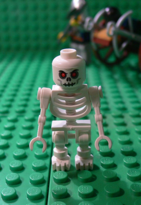 7090.3.jpg