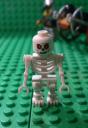 7090.3.jpg