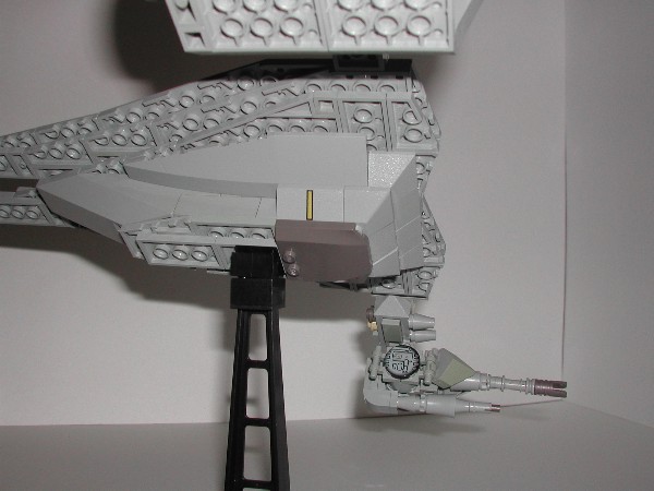 sandshark10.jpg