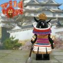 wt-brick-samurai-c-2.jpg
