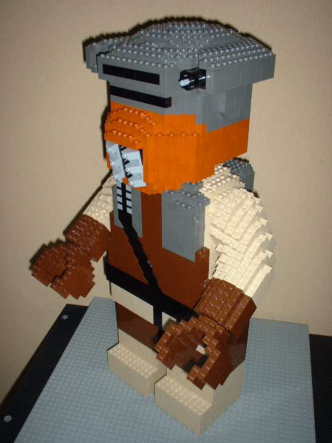 r10.jpg
