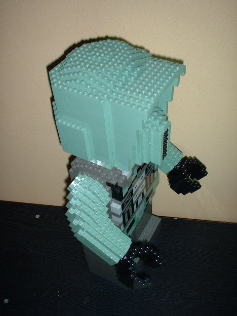 p10.jpg