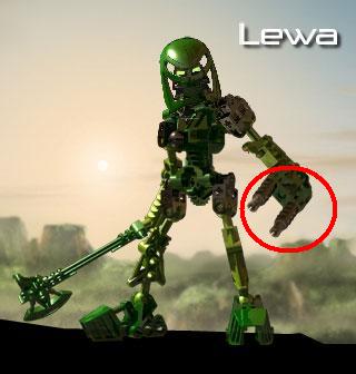 lewa_mata_hand.jpg