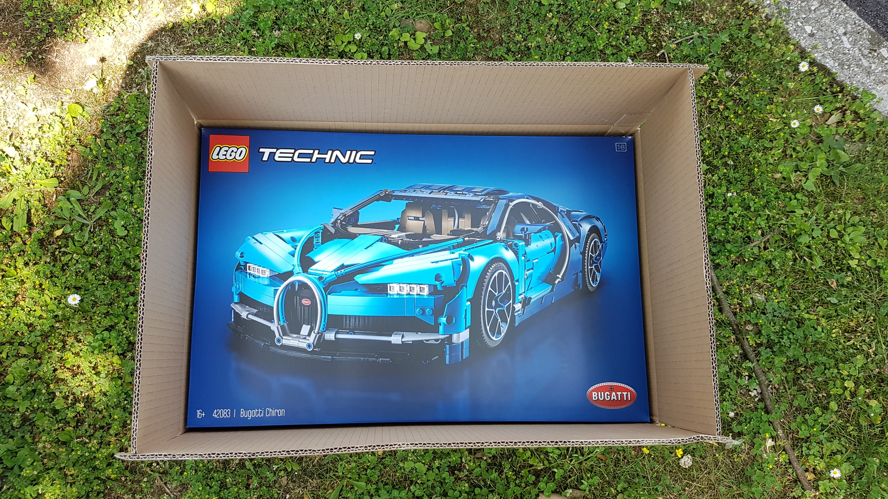 42083_box2.jpg