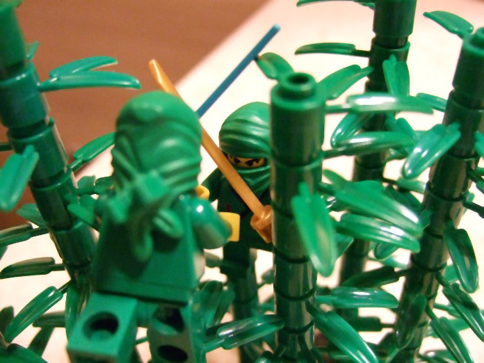 dscf3734.jpg