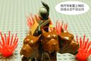 _arc03691.jpg