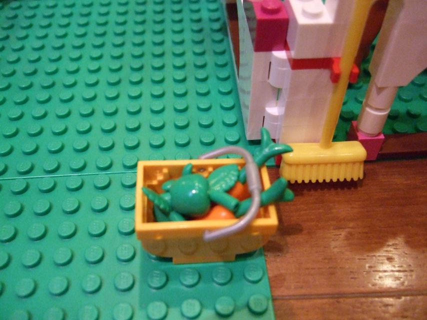dscf5043.jpg