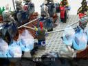 ca10032109.gif