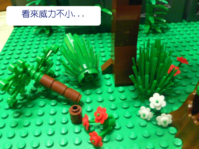 p1080103.jpg