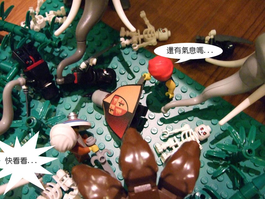 dscf4973.jpg