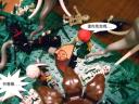 dscf4973.jpg